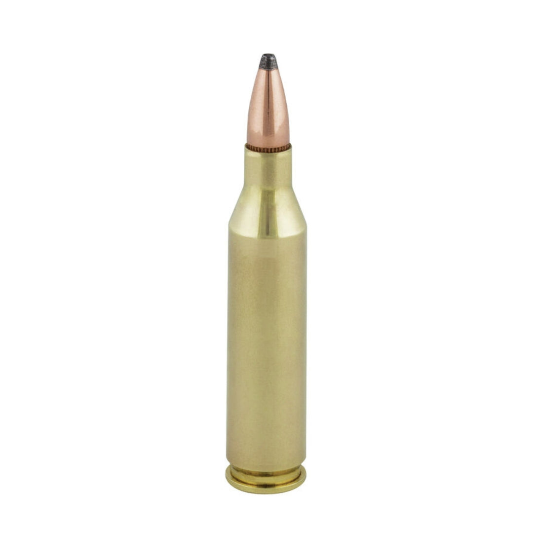 Federal 243 Win Powershok JSP 100Gr - Scopes and Barrels